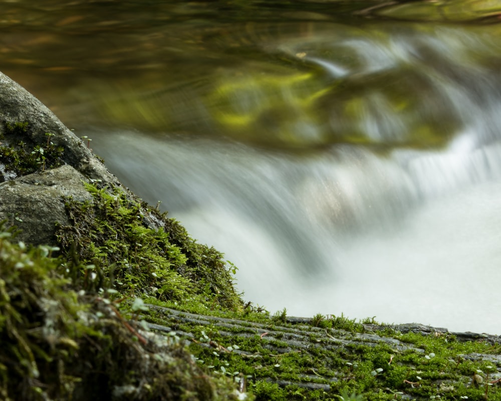 green moss on rock near water falls