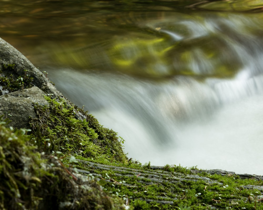 Grünes Moos auf Felsen in der Nähe von Wasserfällen