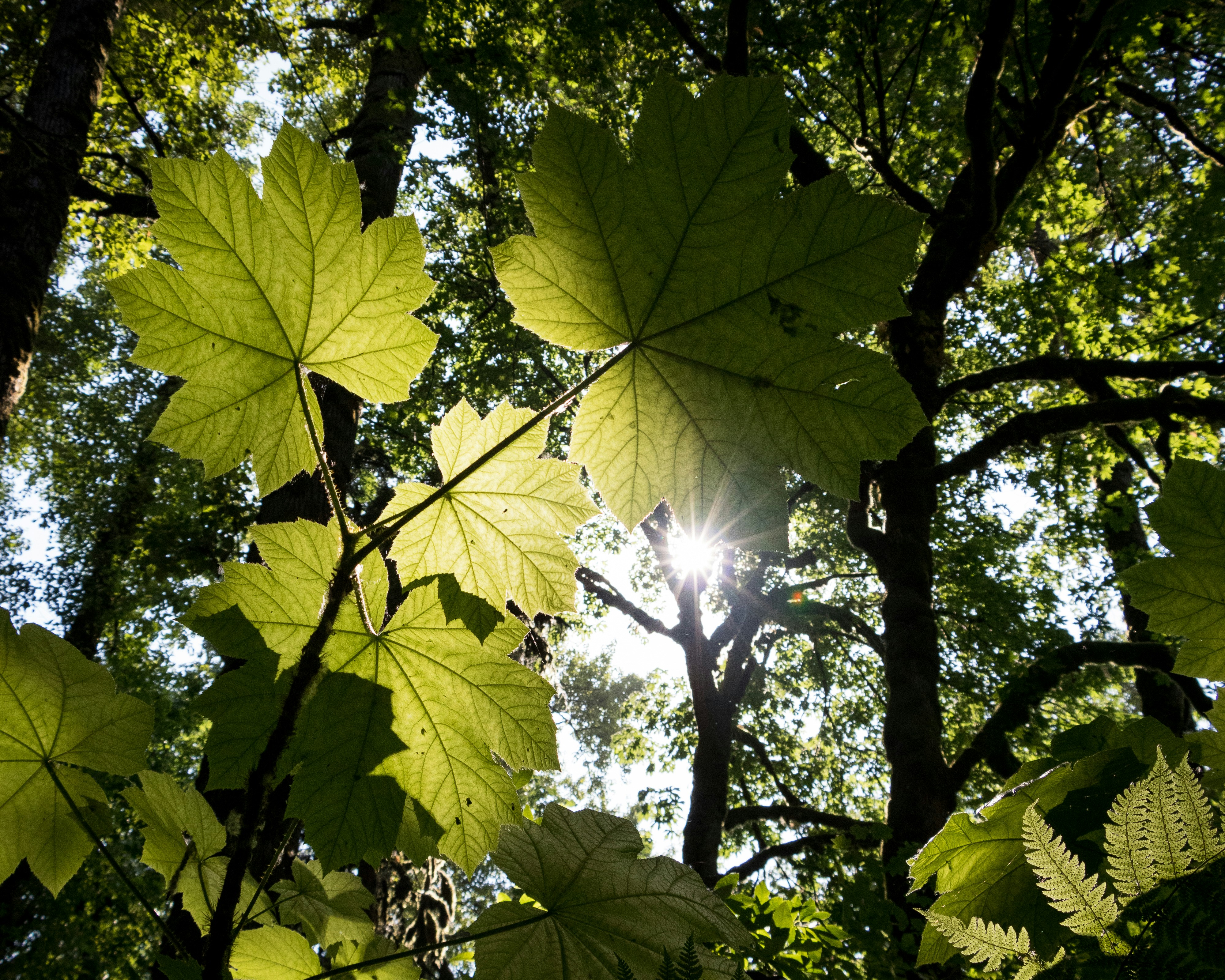 Photo by greg_rosenke