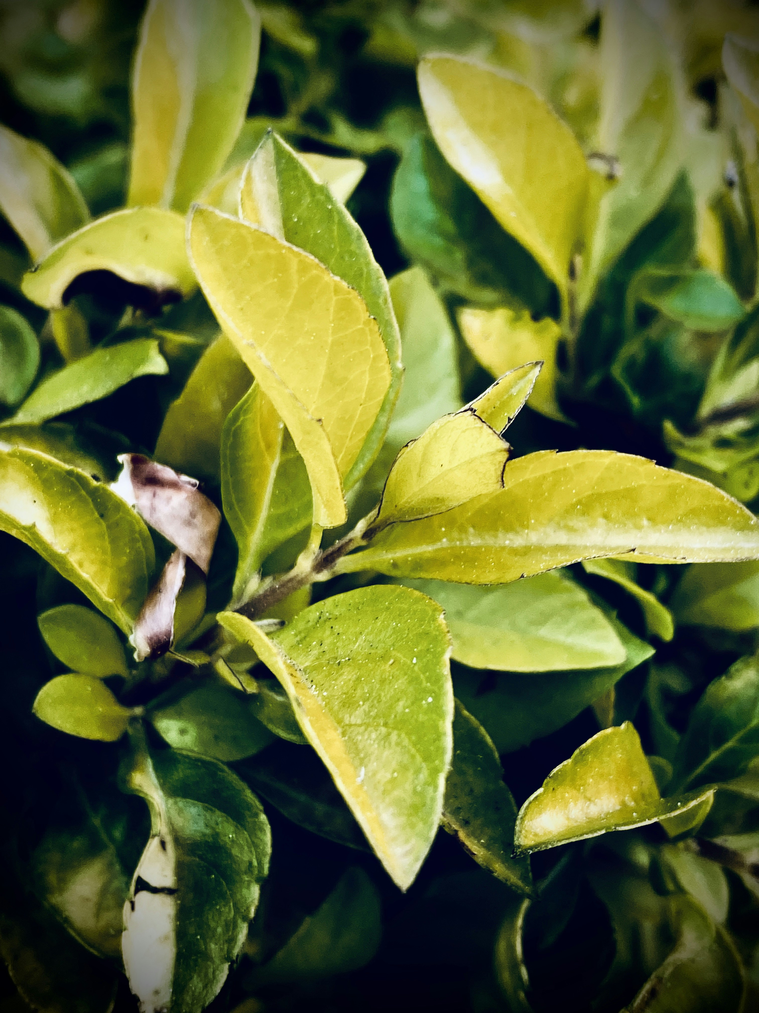 Photo by arham_jain48