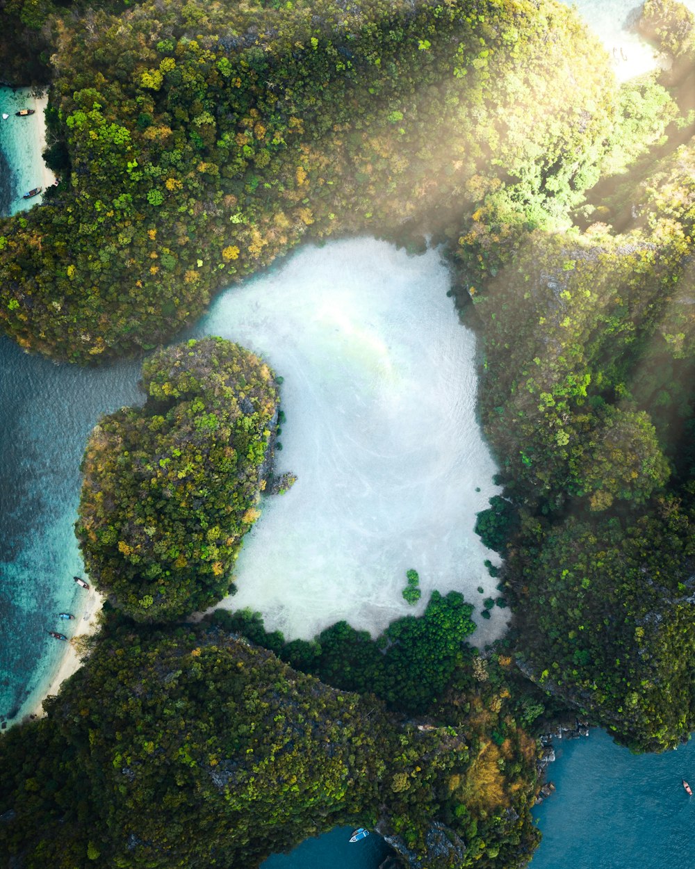 aerial view of green trees and body of water