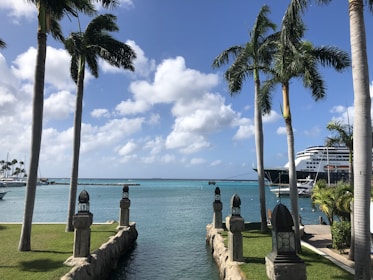 A scenic view of a tropical waterfront featuring tall palm trees on both sides. In the background, a large cruise ship is docked in the turquoise waters. The sky is clear with a few fluffy white clouds, and the scene is bordered by a manicured lawn and decorative stone lanterns lining the water.