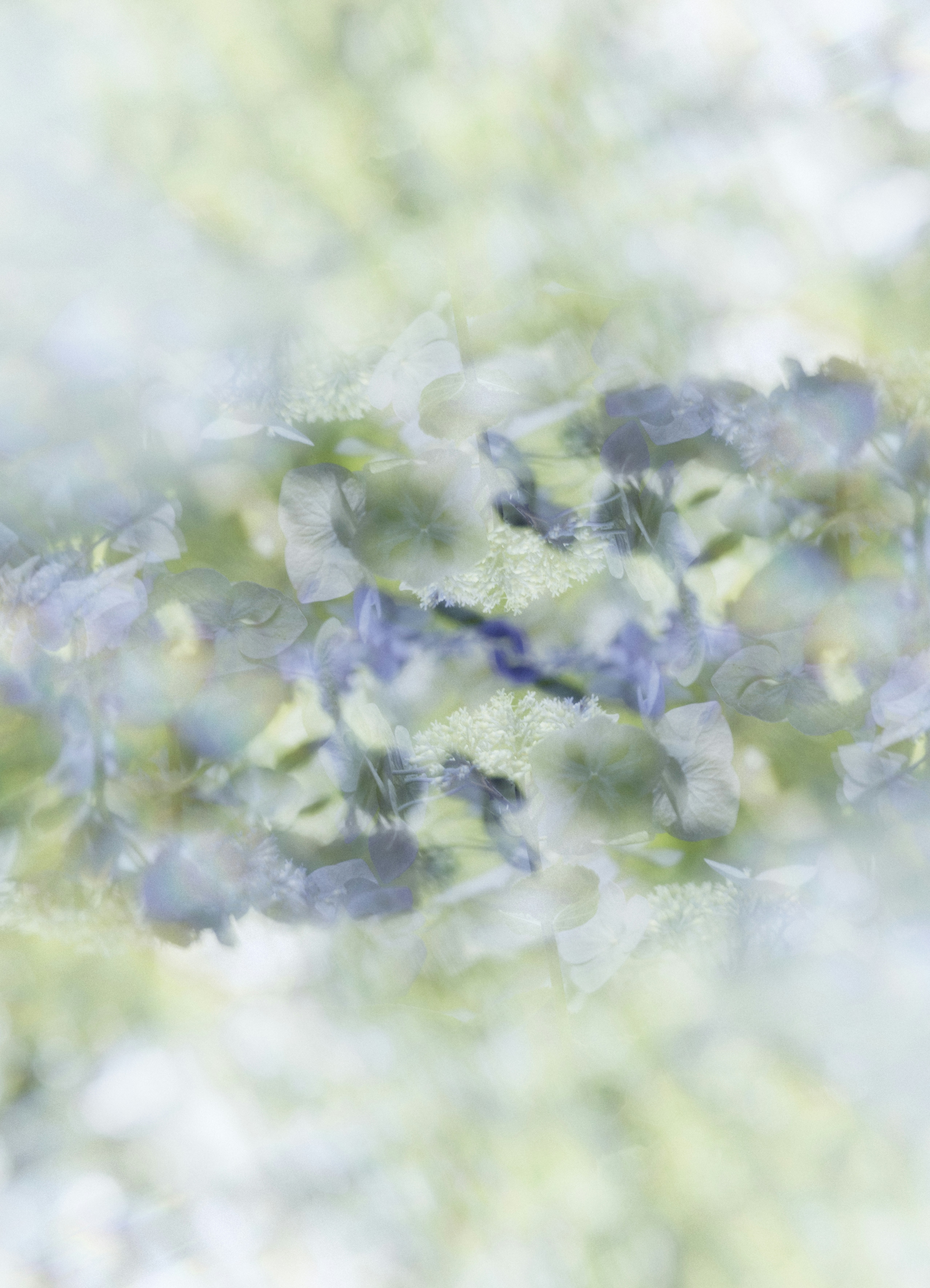 Photo by anniespratt