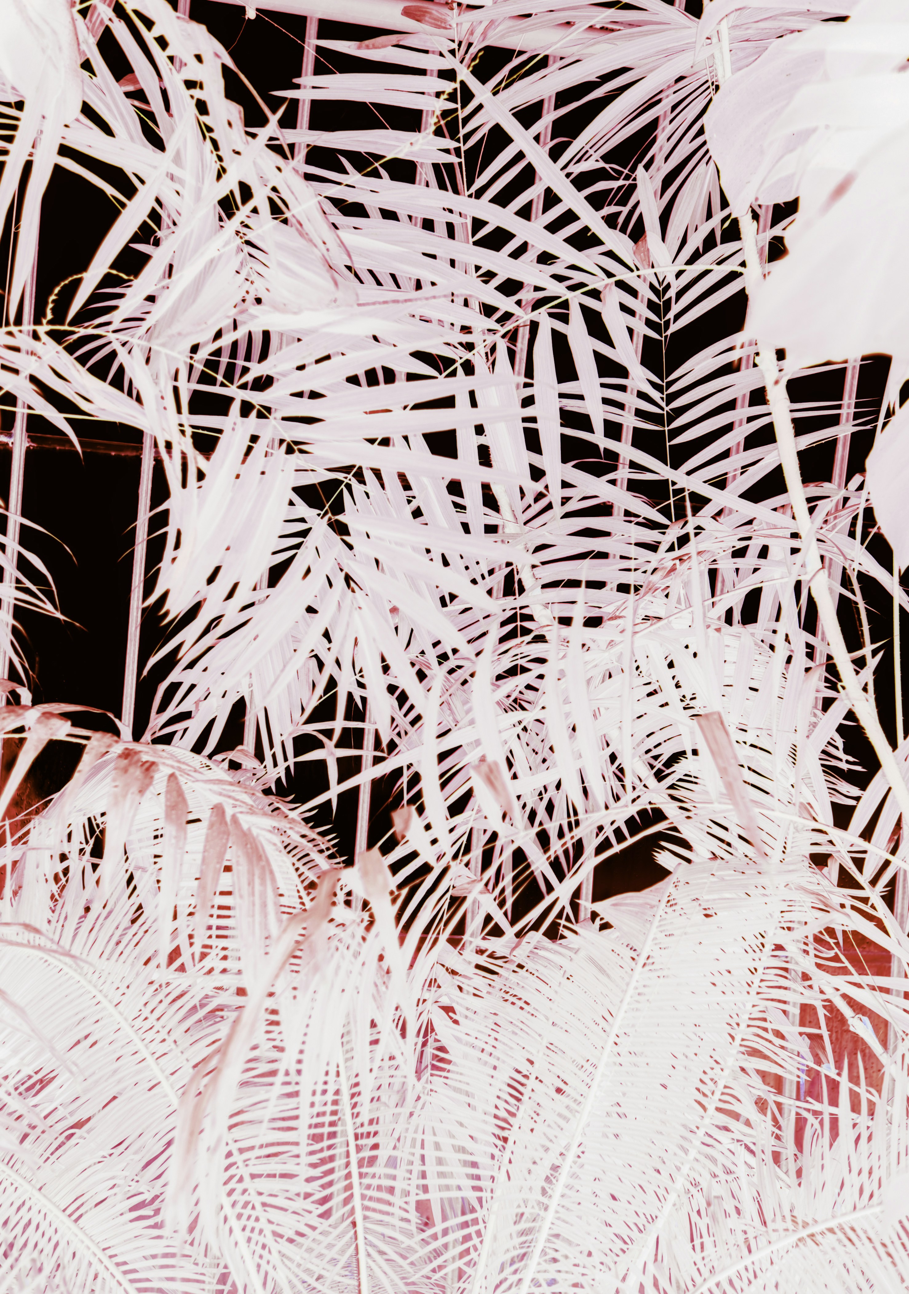 Photo by anniespratt