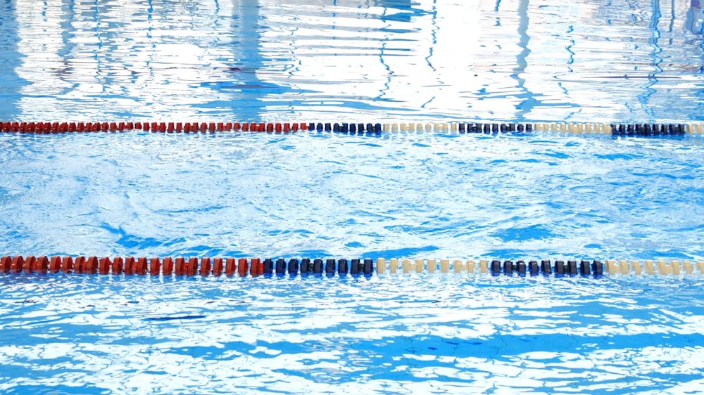 blue and white swimming pool