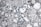 The image depicts a microscopic view of a cellular structure with numerous circular blue elements scattered throughout a textured, grayscale background. The scene resembles a cross-section of complex organic material with various bubble-like formations.