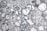 The image depicts a microscopic view of a cellular structure with numerous circular blue elements scattered throughout a textured, grayscale background. The scene resembles a cross-section of complex organic material with various bubble-like formations.