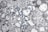 The image depicts a microscopic view of a cellular structure with numerous circular blue elements scattered throughout a textured, grayscale background. The scene resembles a cross-section of complex organic material with various bubble-like formations.