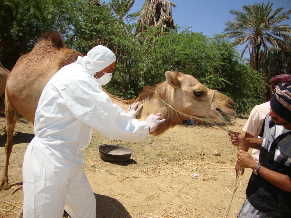man in white long sleeve shirt riding brown camel during daytime