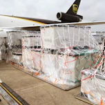 white and blue plastic bags