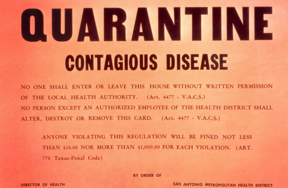 Hantavirus Outbreak Day 13: French Woman on Artificial Lung, 11 Cases, 3 Dead