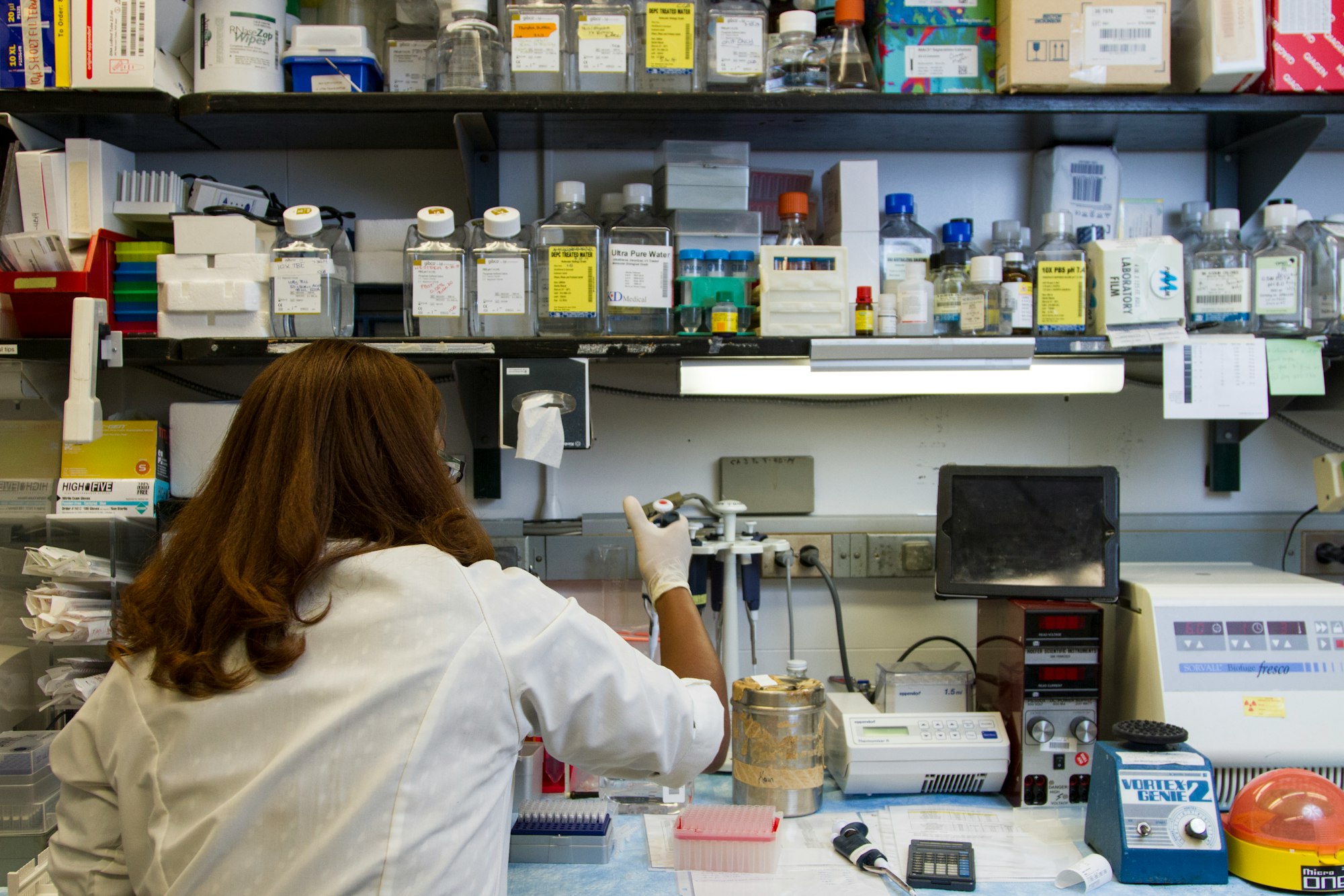 Chanelle Case Borden, Ph.D., a postdoctoral fellow in the National Cancer Institute's Experimental Immunology Branch, pipetting DNA samples into a tube for polymerase chain reaction, or PCR, a laboratory technique used to make multiple copies of a segment of DNA.