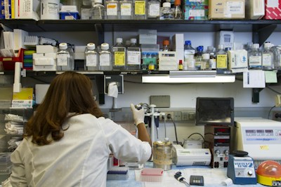 Métagénomique - Microbiote