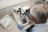 A person with gray hair is using a microscope in a laboratory setting. They are wearing blue gloves and focusing on a slide under the microscope. Next to them is an electronic display with controls, indicating sophisticated scientific equipment.