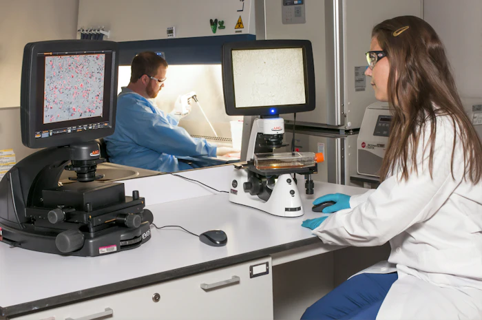 Organoids: growing mini-organs to test drugs
