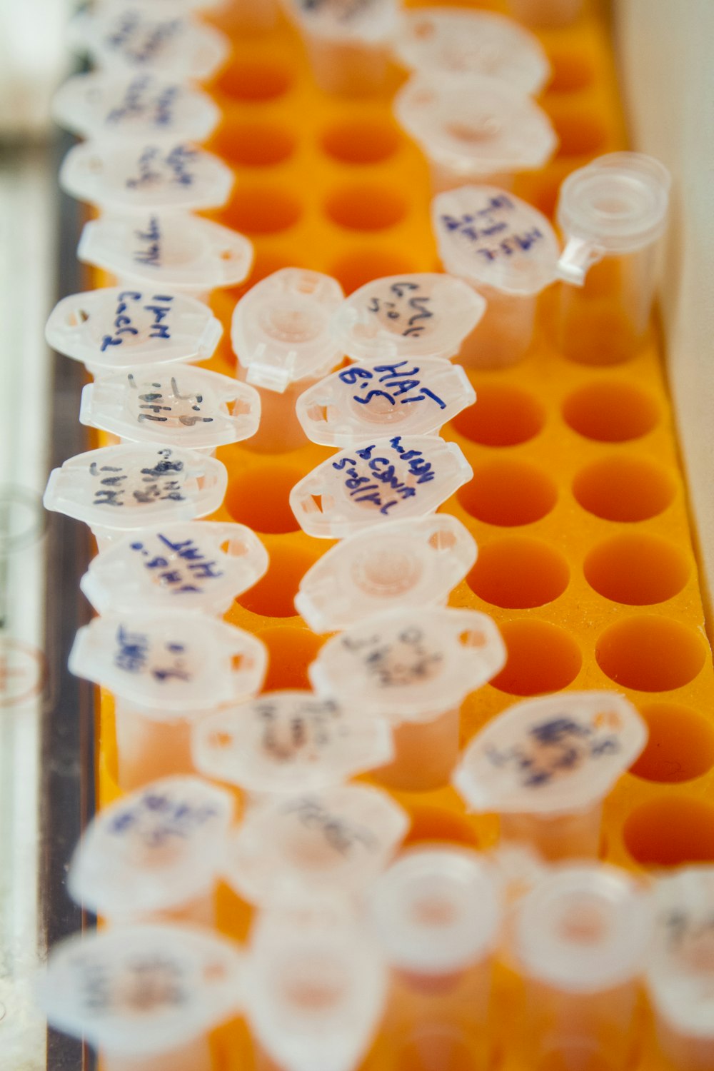 orange and white plastic container