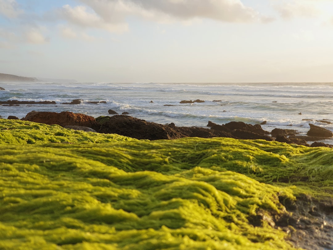 green and brown rock formation near sea during daytime