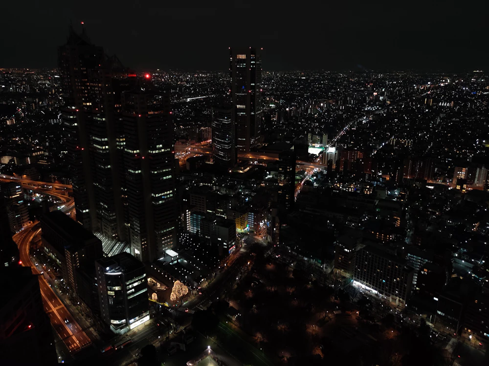 東京の夜景。日本は世界で最も睡眠時間が短い国の一つ