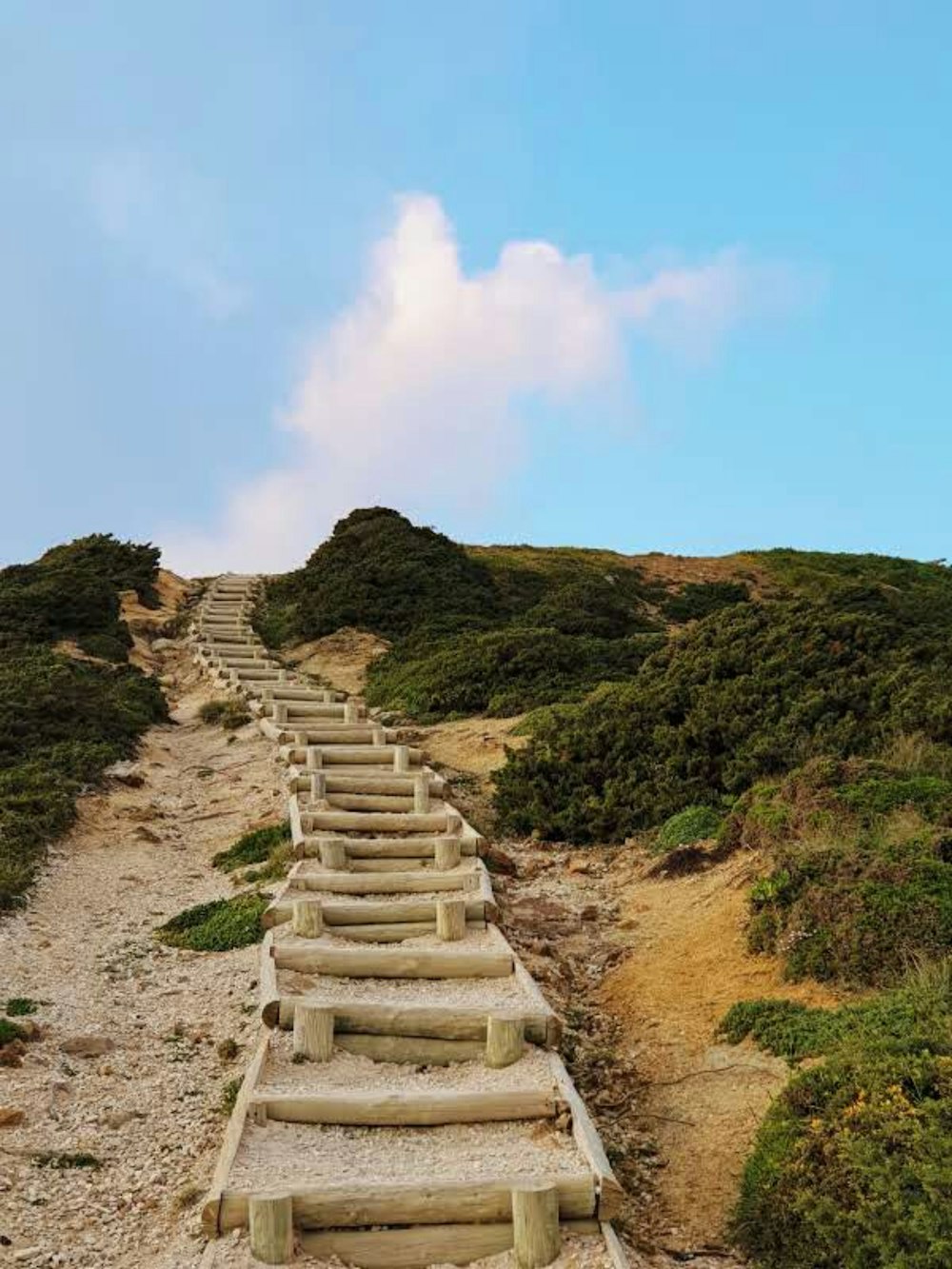 weiße Betontreppe auf grünem Grasfeld