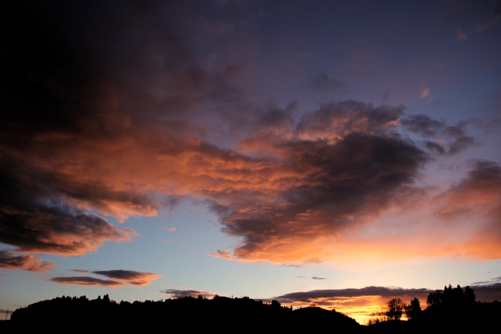 silhouette of trees under cloudy sky during sunset