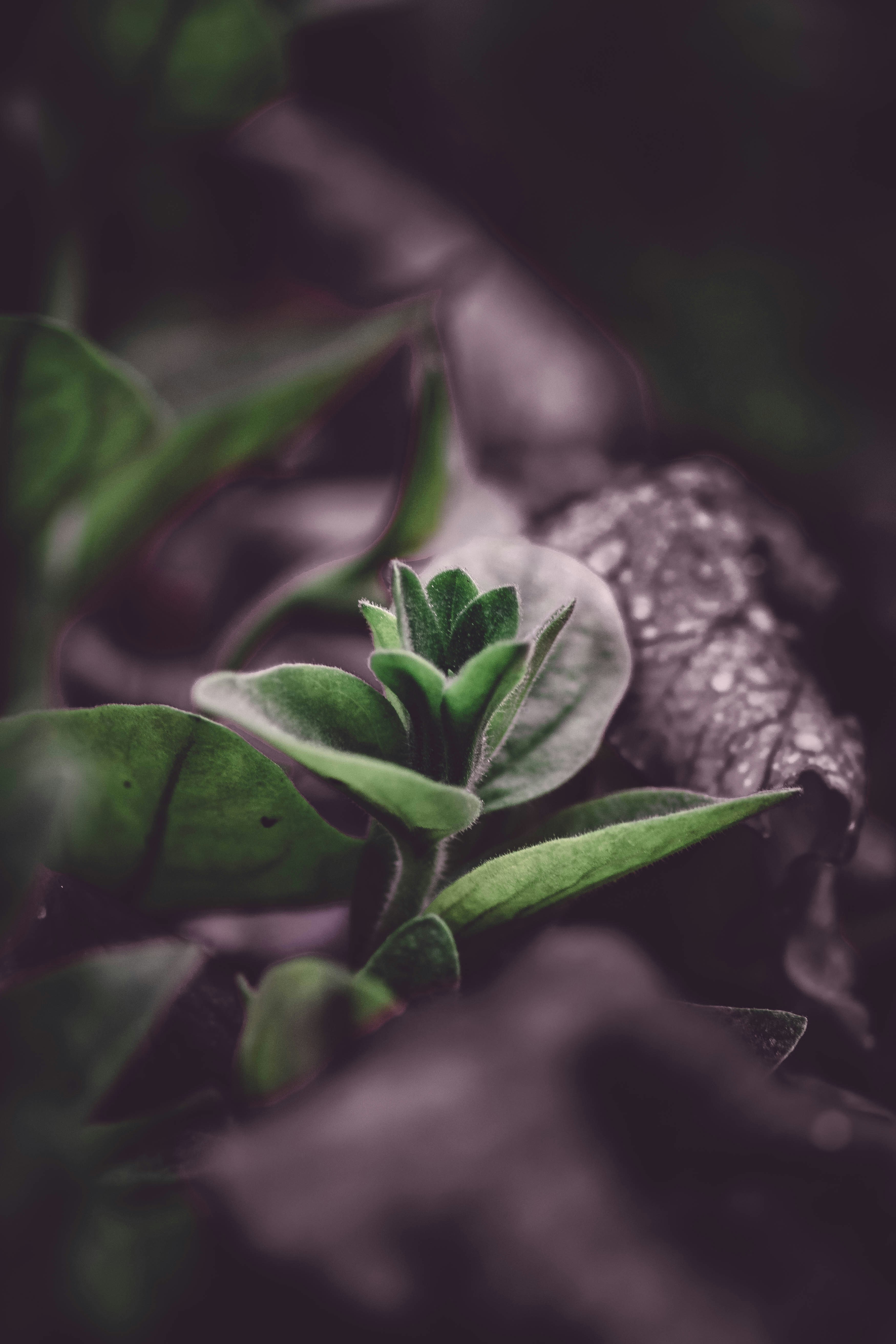 Photo by itsmanoharmanu