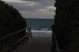 Pathway through natural greenery leading to a serene beach cove