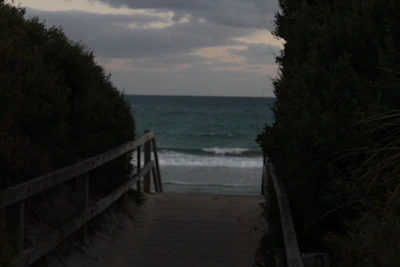 Pathway through natural greenery leading to a serene beach cove
