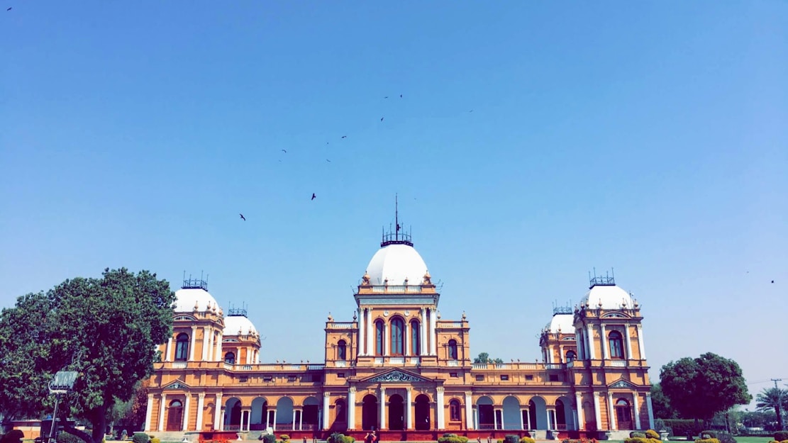 flock of birds flying over white concrete building during daytime