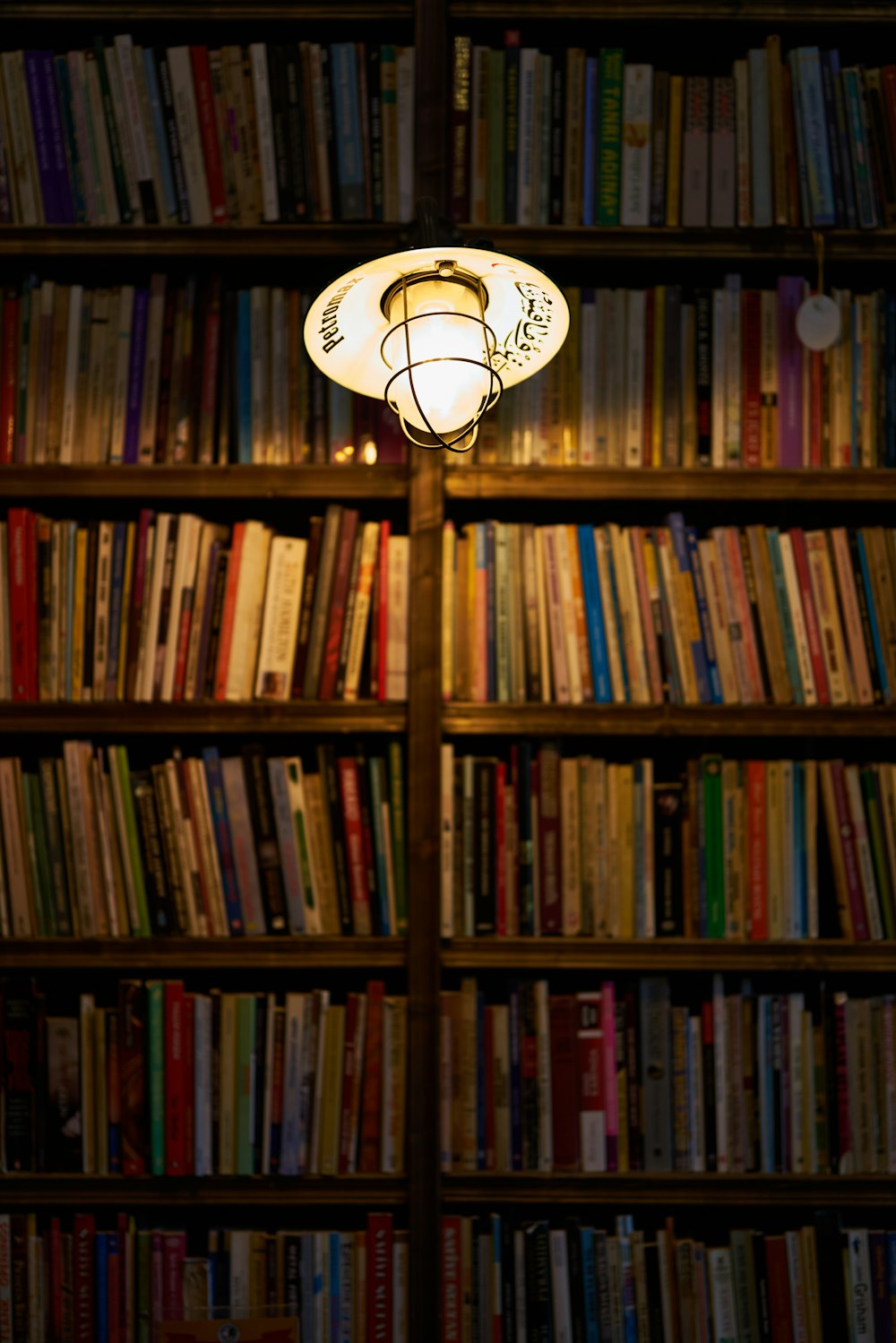 brown wooden book shelves with books