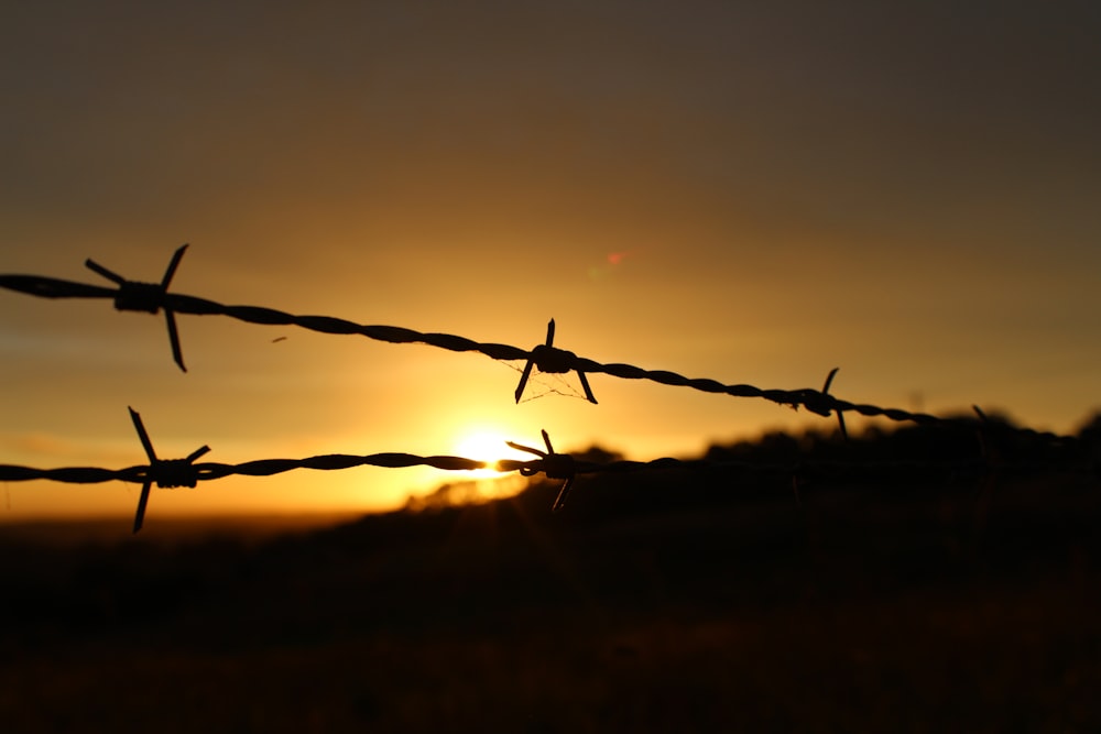 silhouette of barbwire during sunset