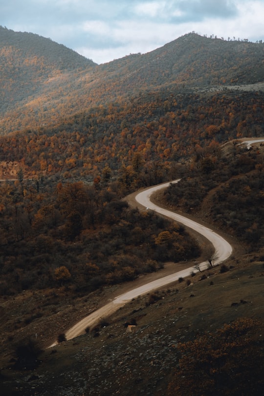 aerial view of road in the middle of trees in Shahrud Iran