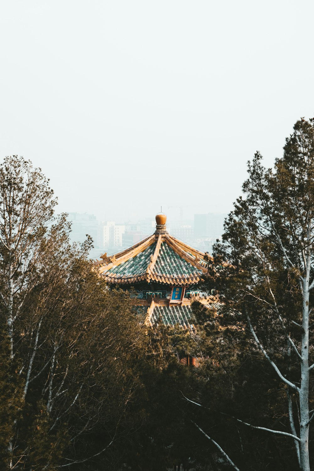 brown and black temple surrounded by trees during daytime