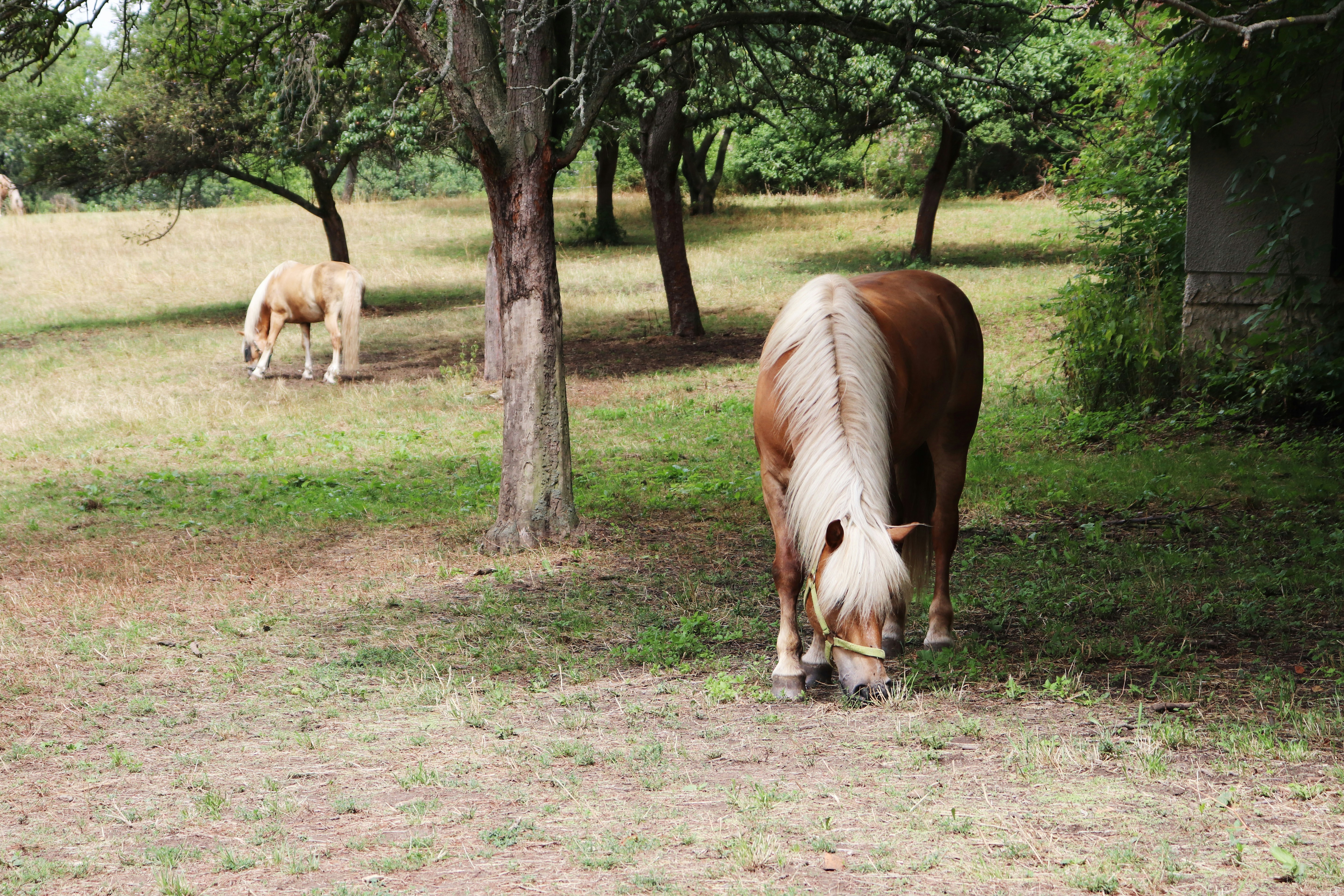 Photo by barbora_volakova