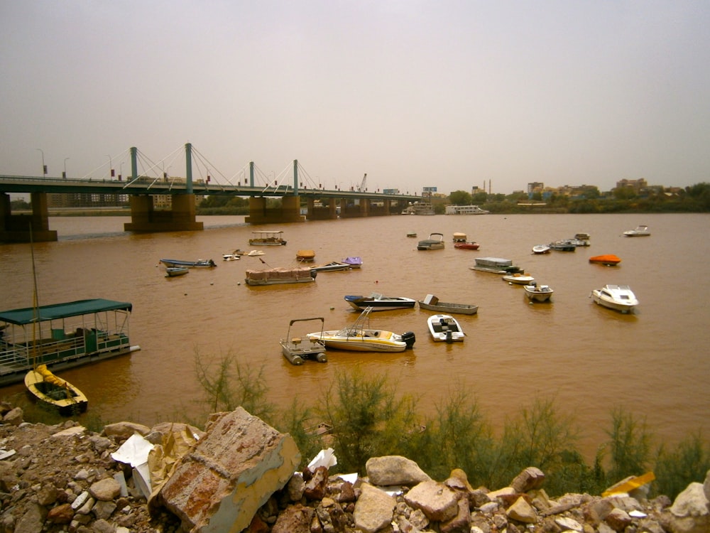 Coches blancos y negros en un puente de hormigón gris durante el día