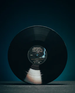 black vinyl record on blue surface
