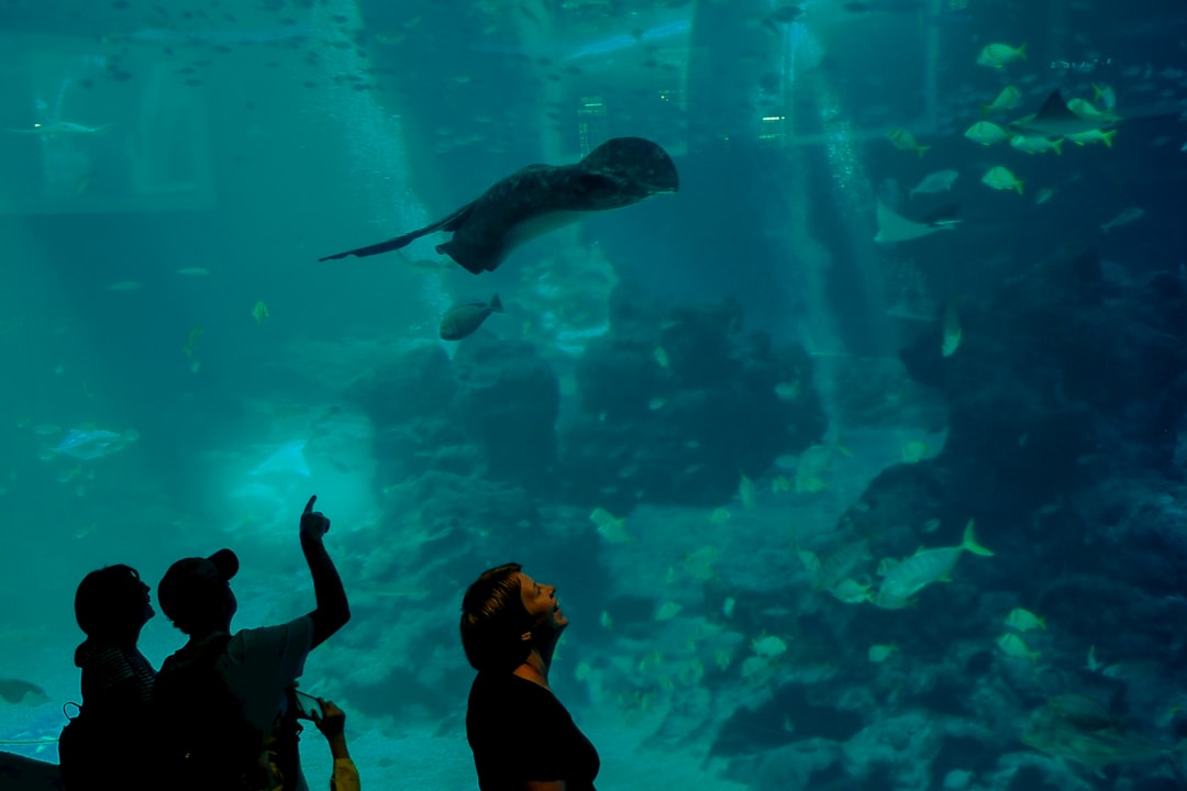 Underwater photo spot Sentosa Gateway River Safari