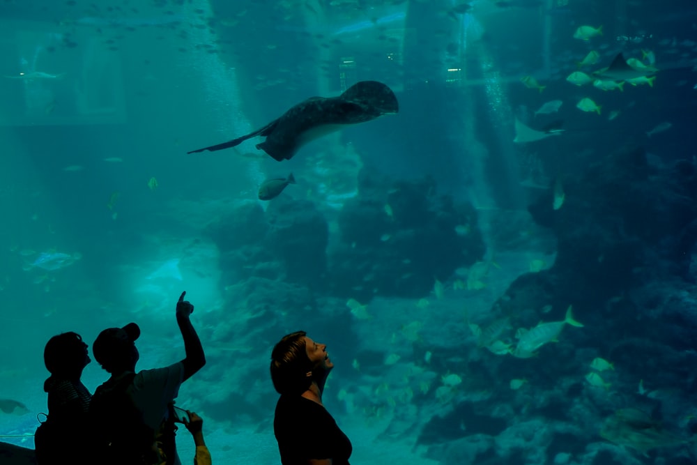 魚と一緒に水族館の前に立つ黒い長袖シャツの女性