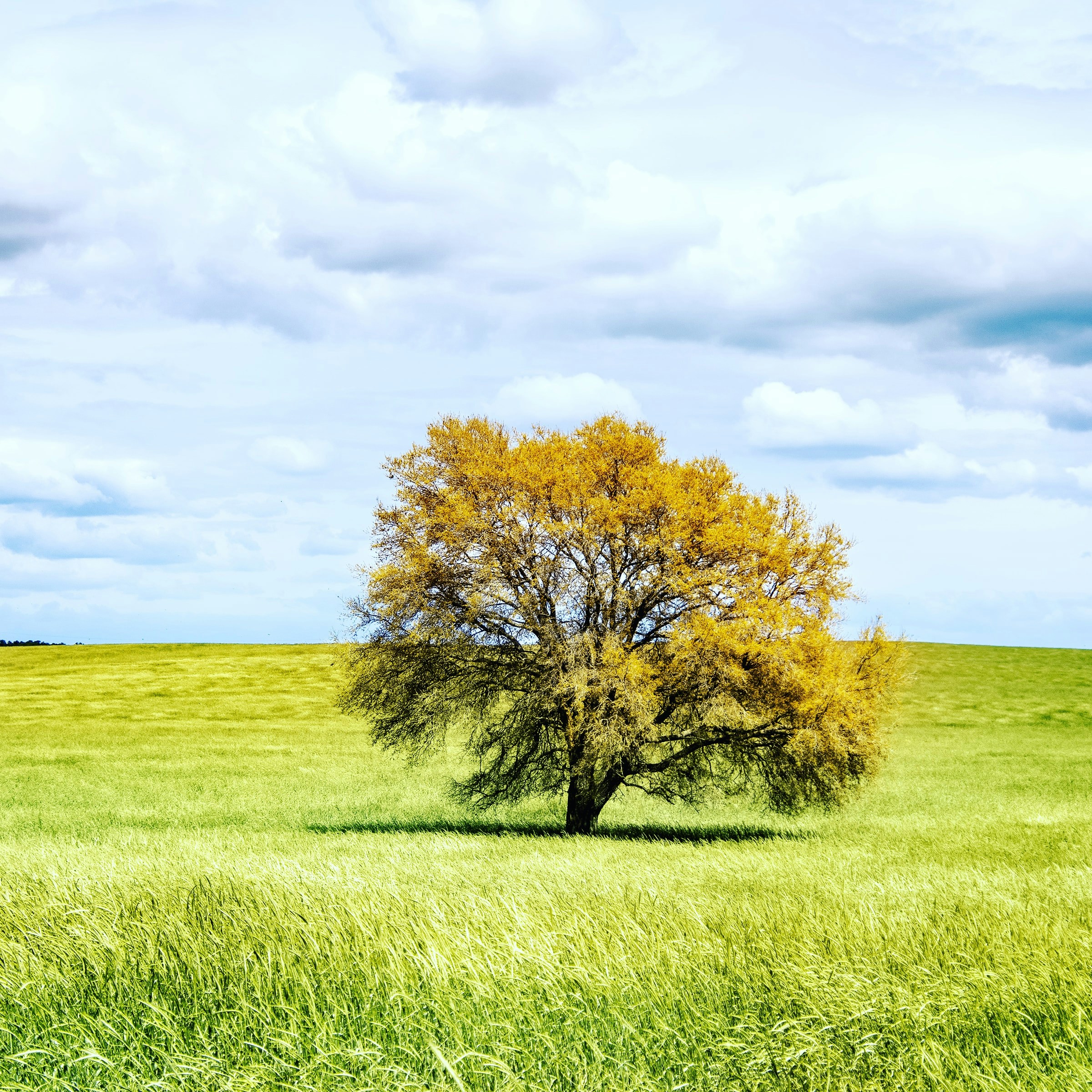 Photo by jenlane2019