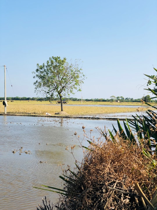 green grass field near body of water during daytime in Kota India