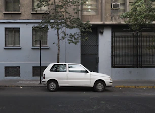 white suv parked beside green tree during daytime