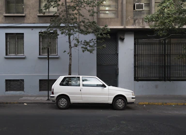 white suv parked beside green tree during daytime