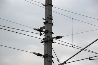 A utility pole is depicted with several electrical insulators and wires attached, set against a cloudy sky. The pole is composed of metal and features multiple cross-arms holding the insulators in place.