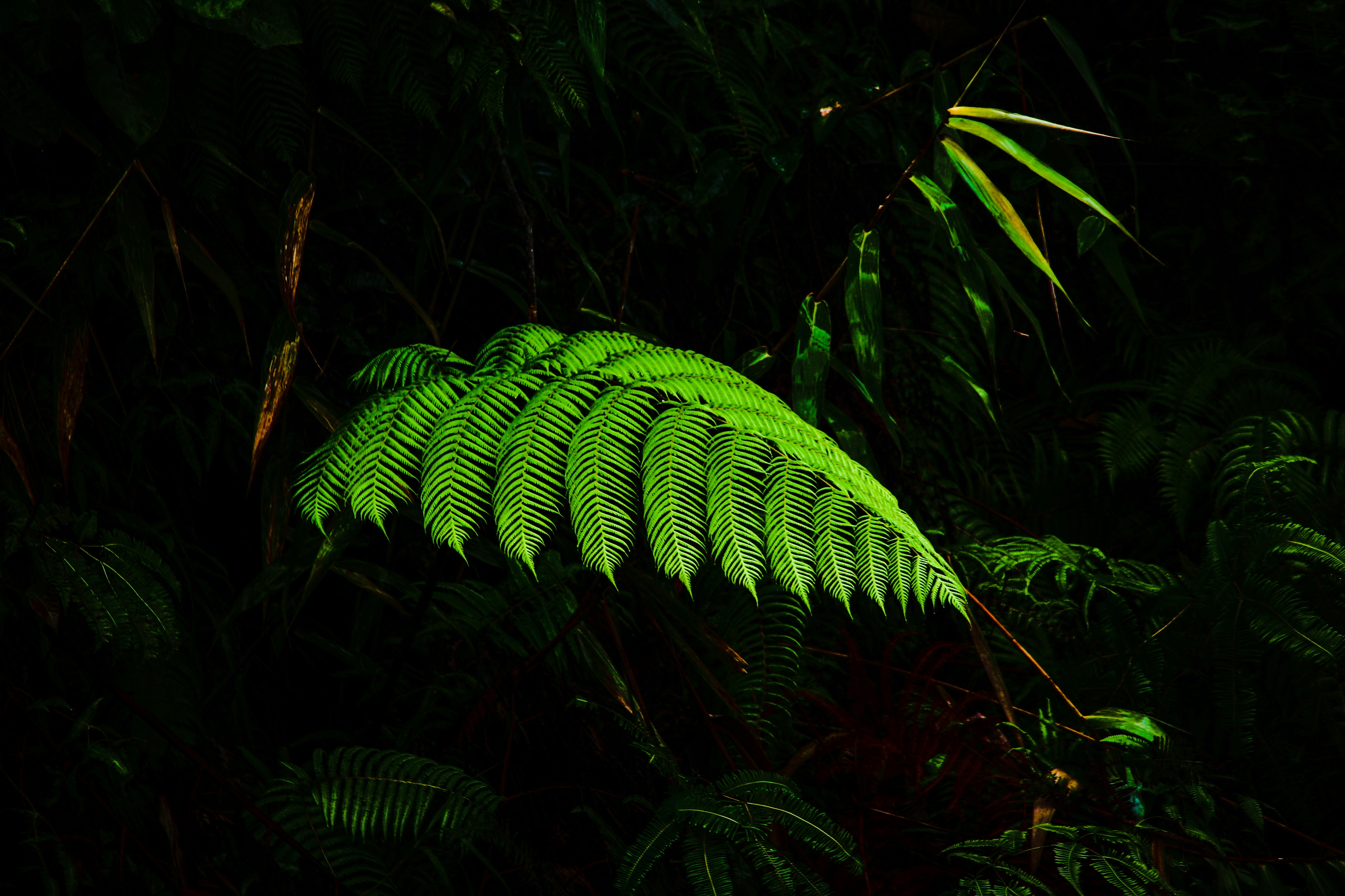 Photo by lakshmimn68