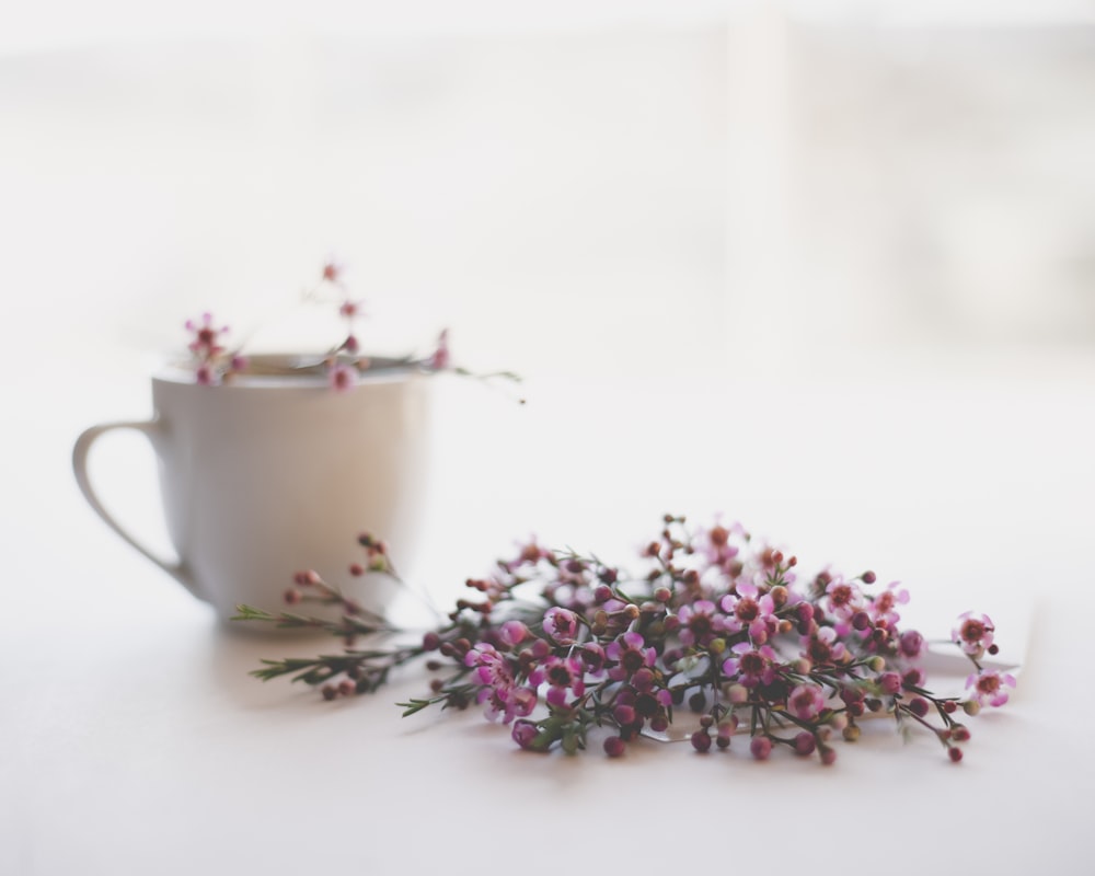 白い陶器の茶碗にピンクと緑の花