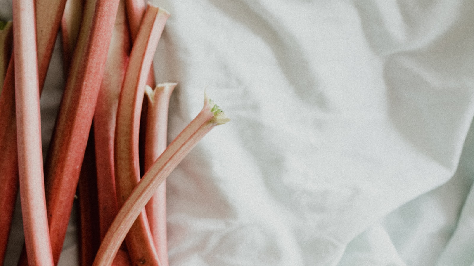 Optimize Your Garden's Potential: Strategies for Pairing and Caring for Rhubarb and Asparagus Together