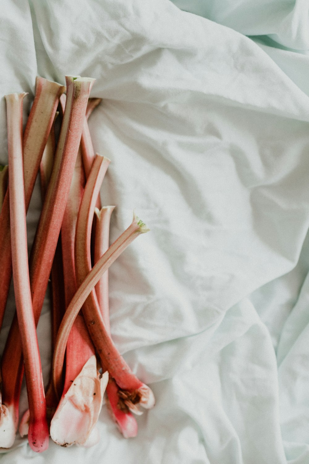 red and white coated wires