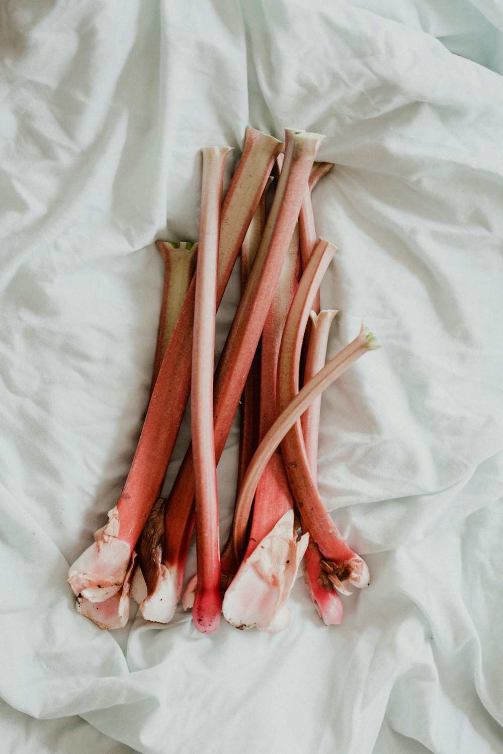 red and white chili on white textile