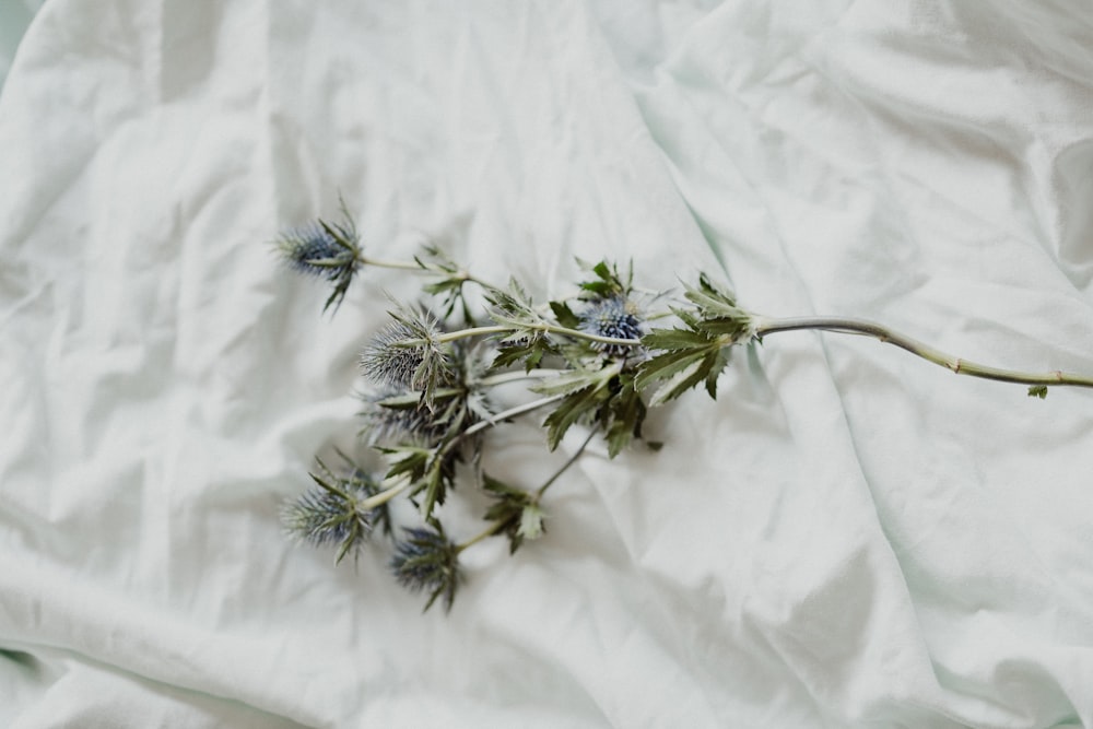 green and white flower on white textile