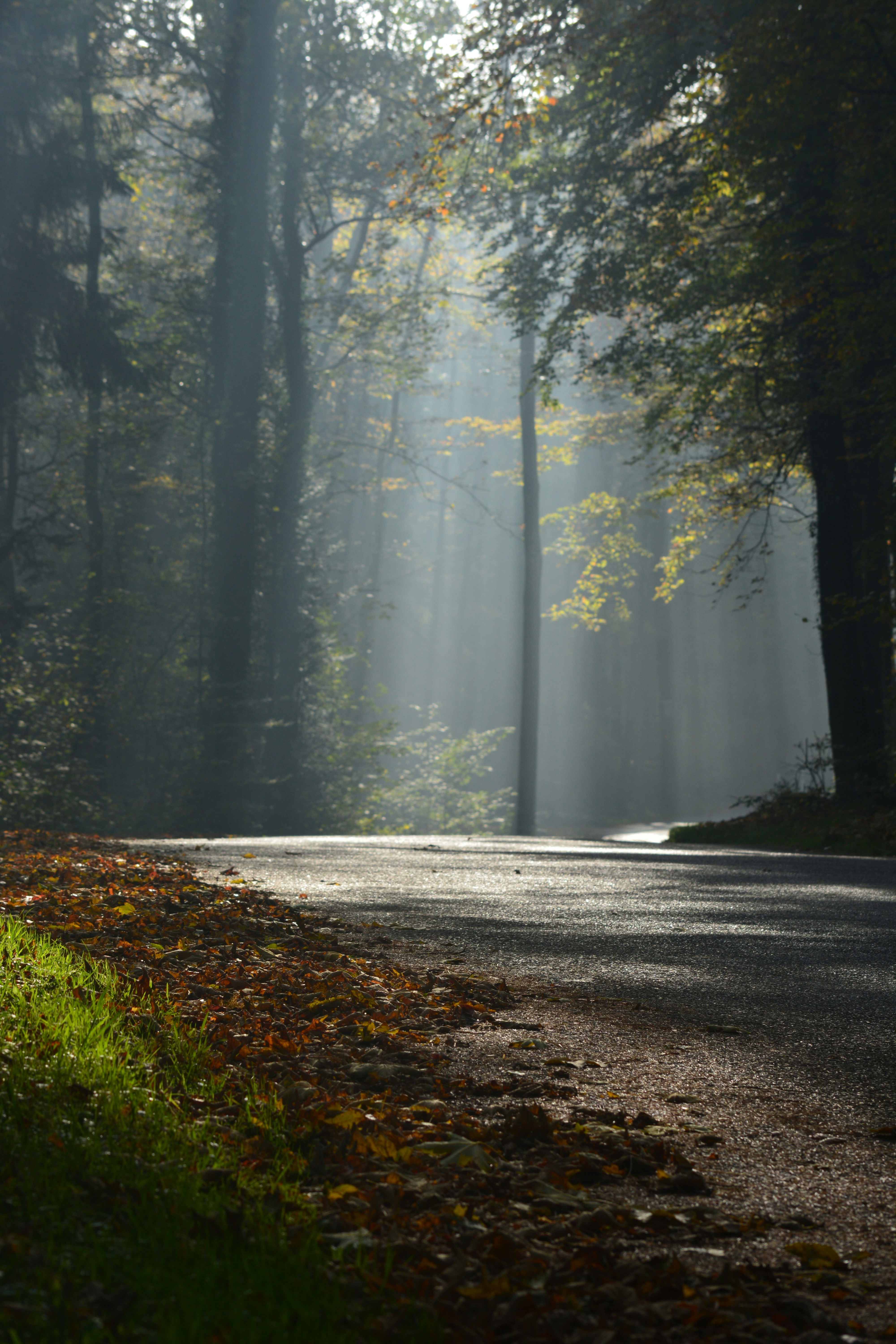 Photo by pedrino5_official