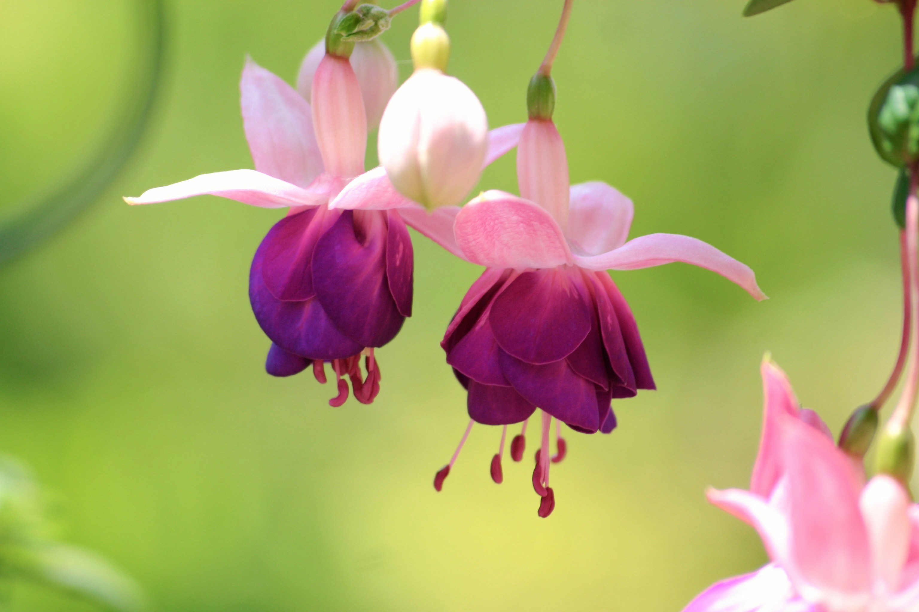 Photo by picsbyjameslee